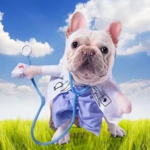 VETERINARY OXYGEN CONCENTRATOR